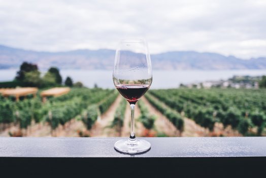 Jak przechowywać wino po otwarciu?