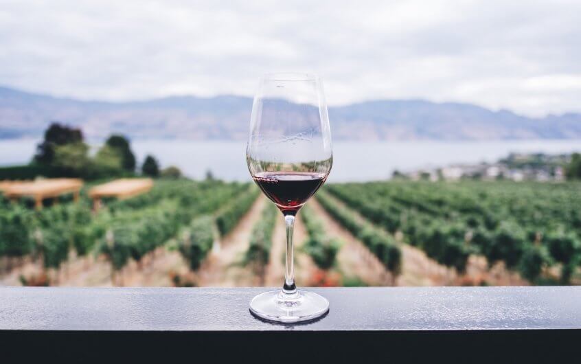 Jak przechowywać wino po otwarciu?