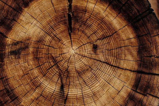 Olejowanie drewna – dlaczego warto?