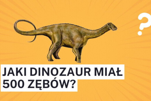 Nigerzaur- dinozaur z 500 zębami